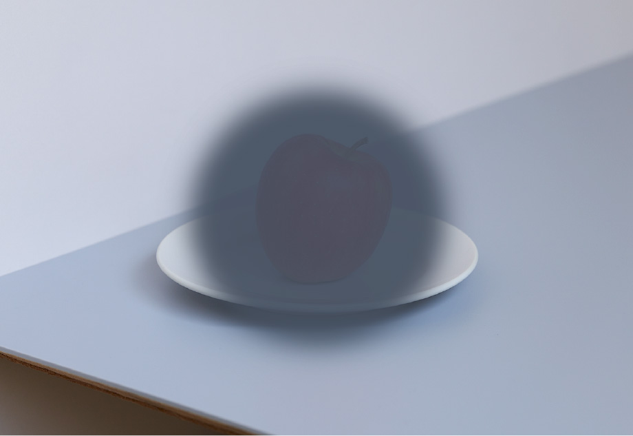 「中心暗転」体験メガネの見え方。視野の中心が黒くなっている。周囲の様子や皿は分かるが、皿の上のリンゴは見えていない。