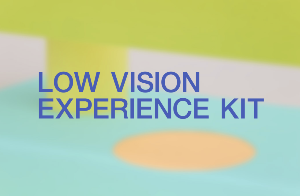 LOW VISION EXPERIENCE KIT